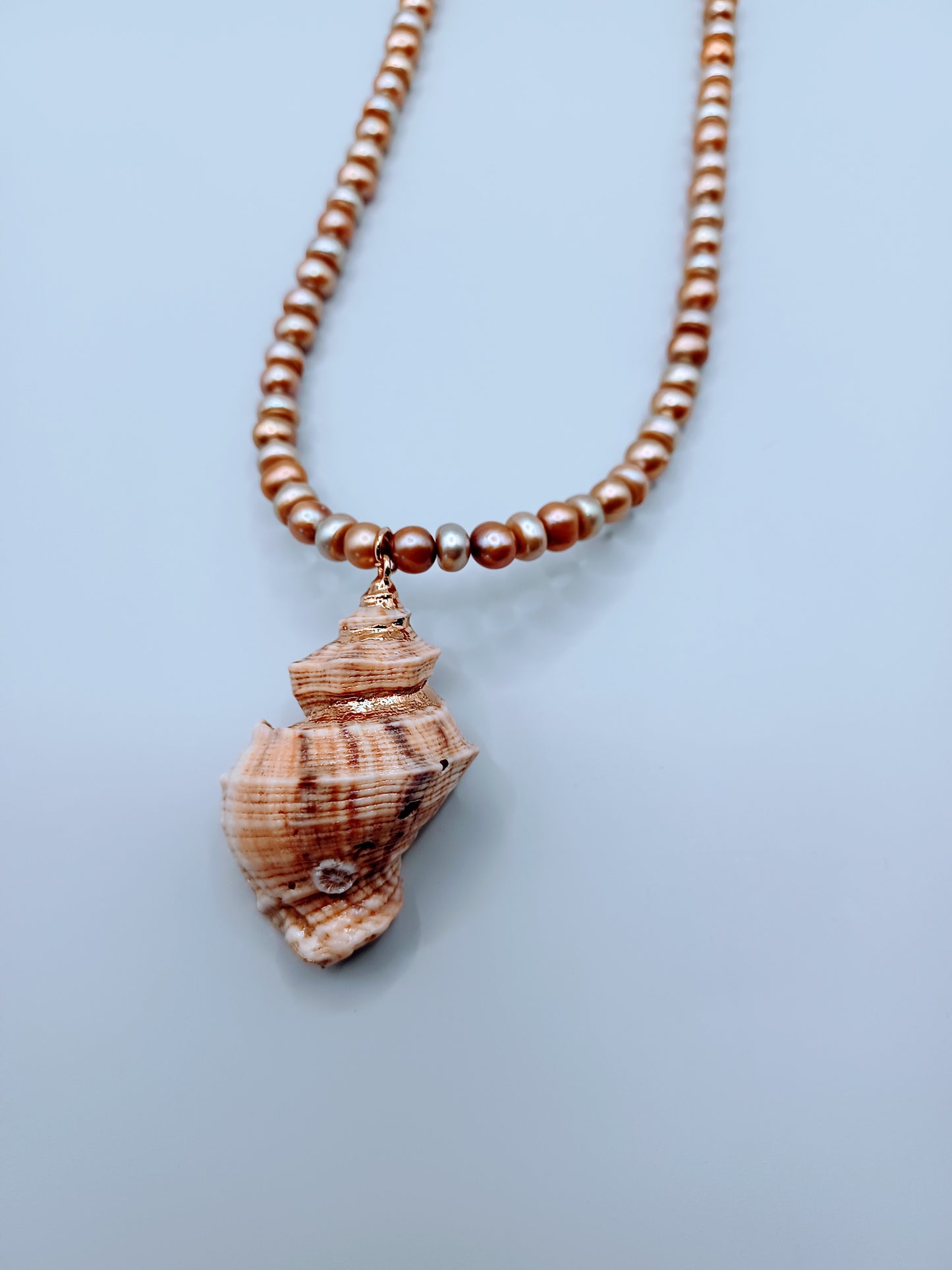 Golden Shell Pearls