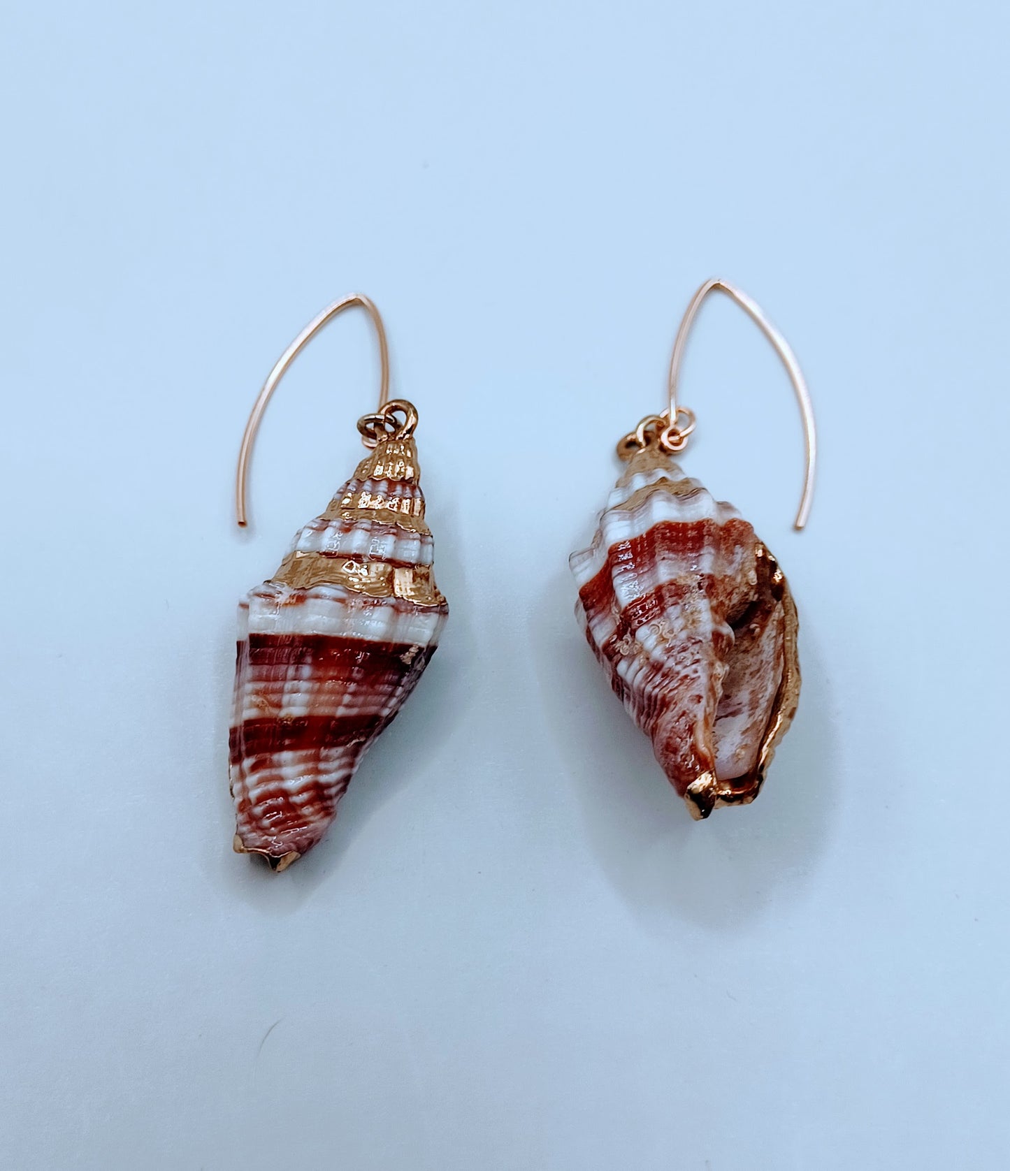 Shell earrings