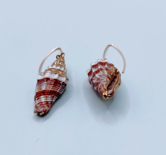 Shell earrings