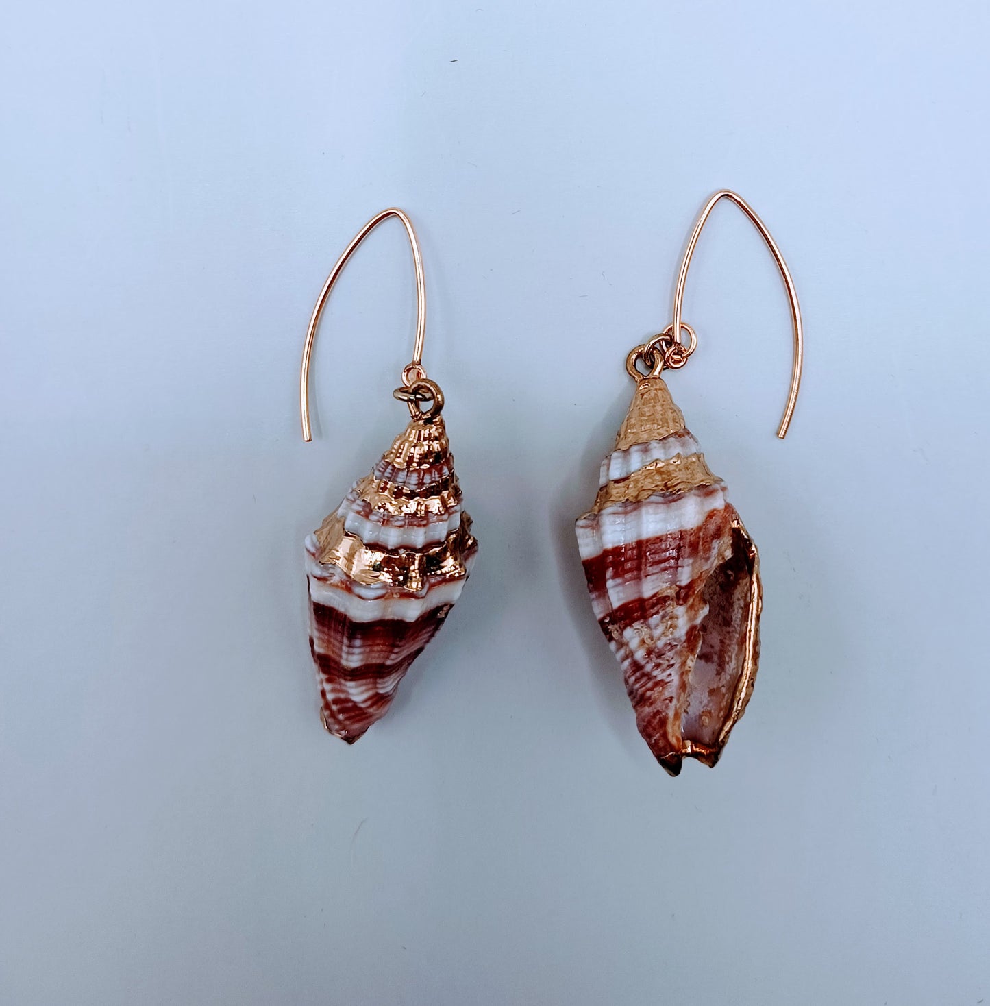 Shell earrings